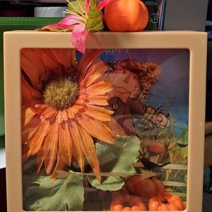 Fall shadow box